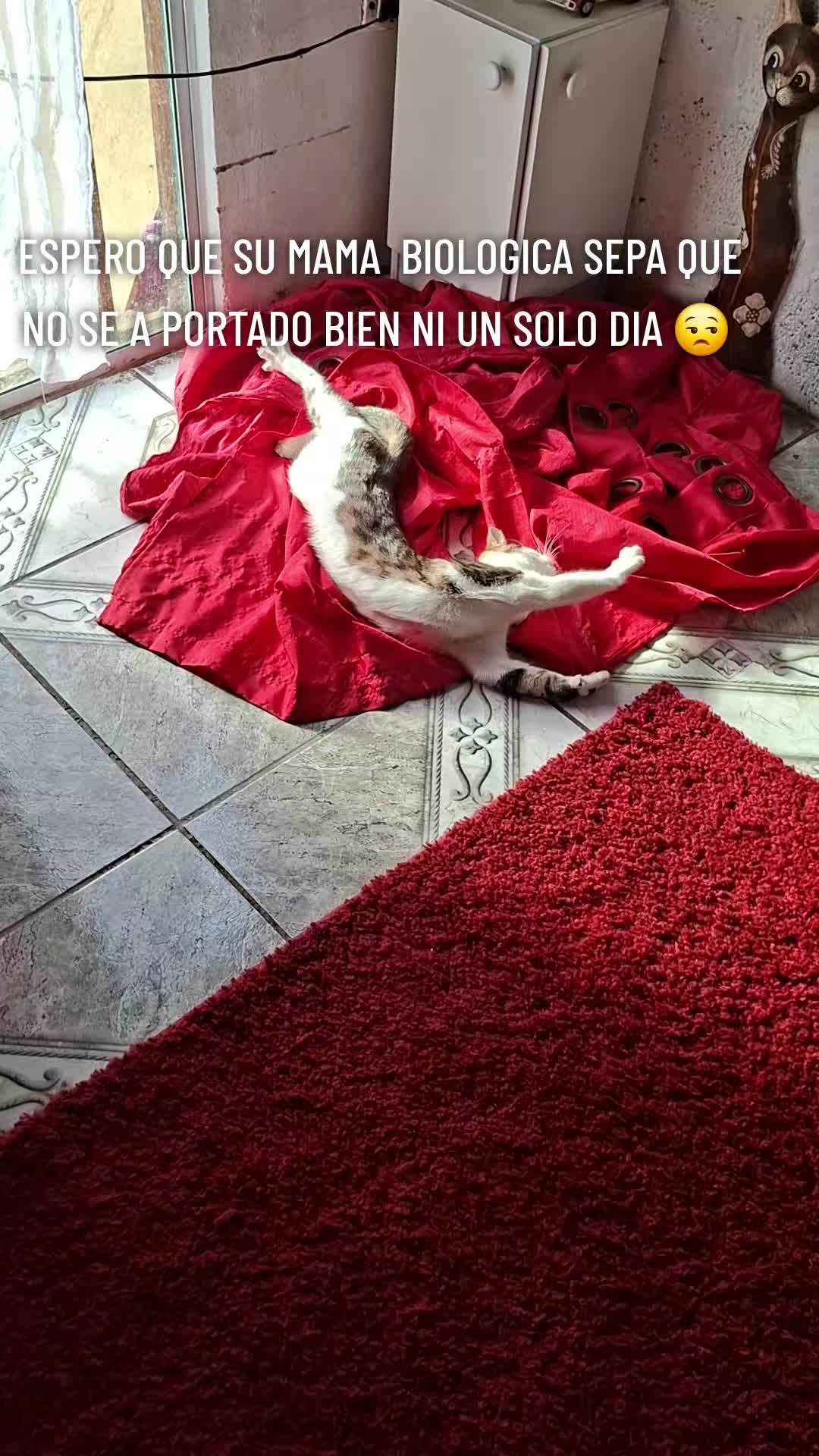 @carolinarojasdvaldes
