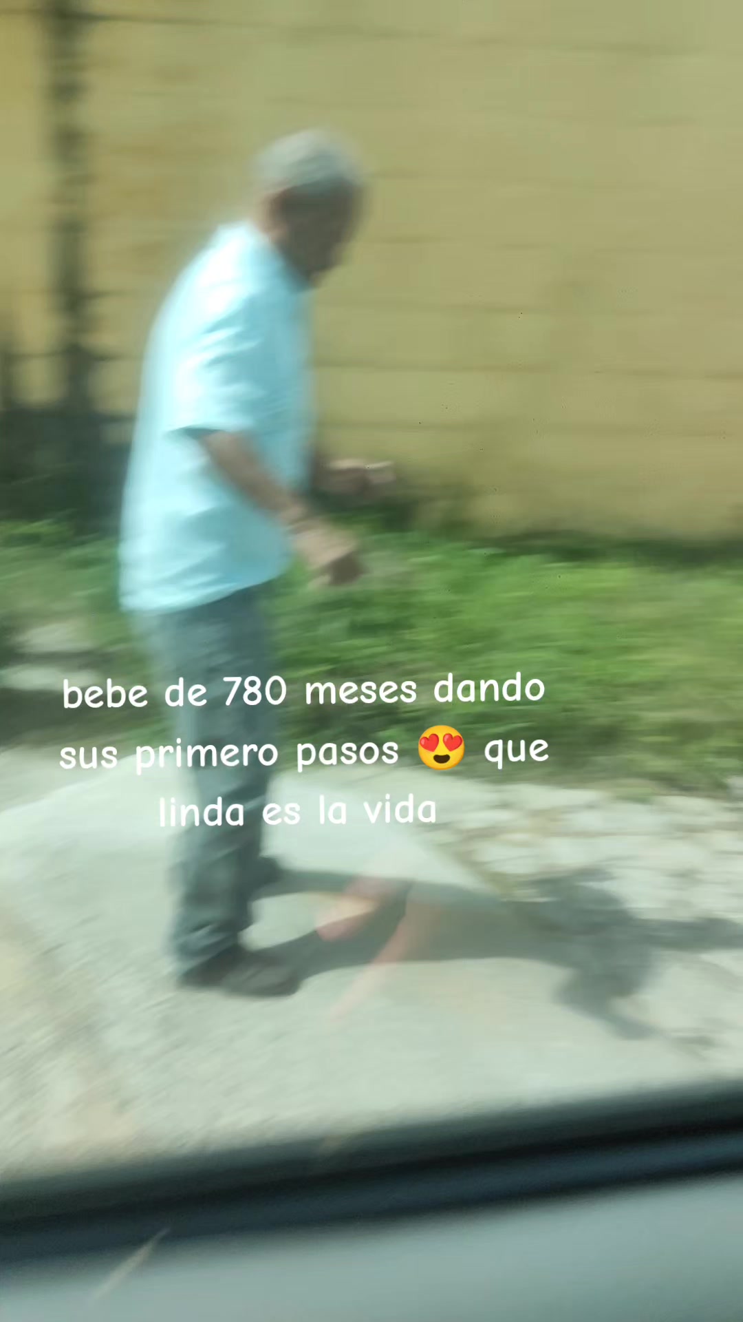 @L-GAM10