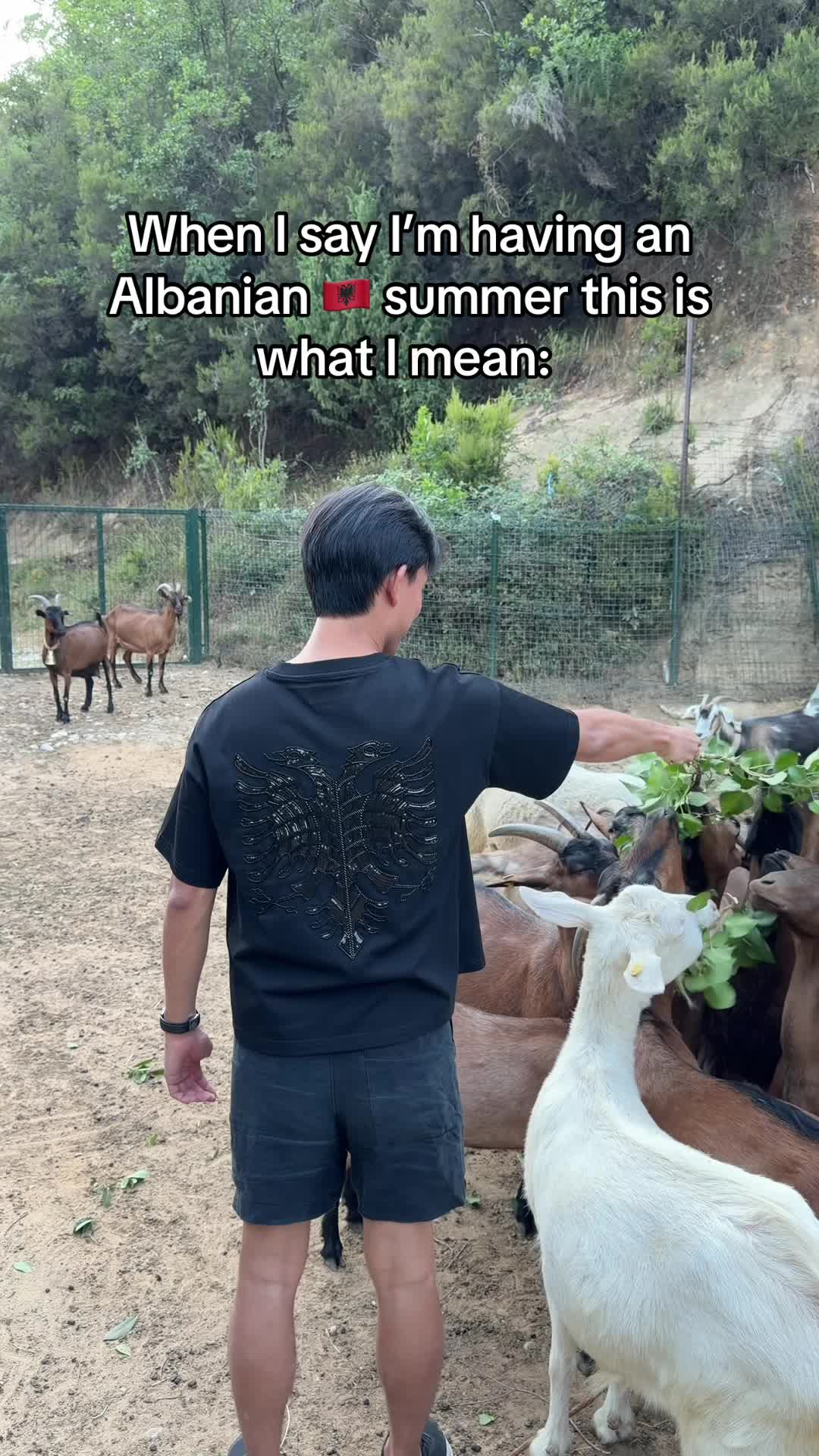 @Alan King