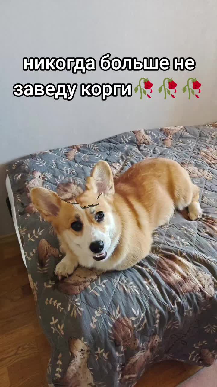 @KARANDASH