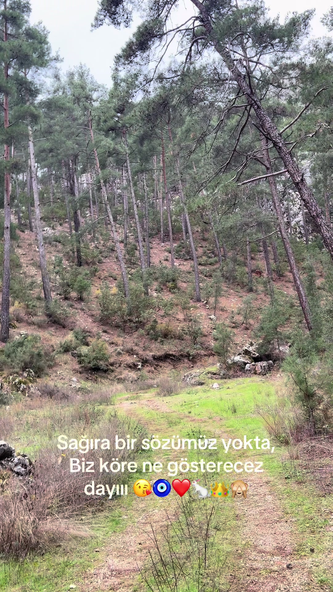 @🔱 Sefa Demirel 🔱