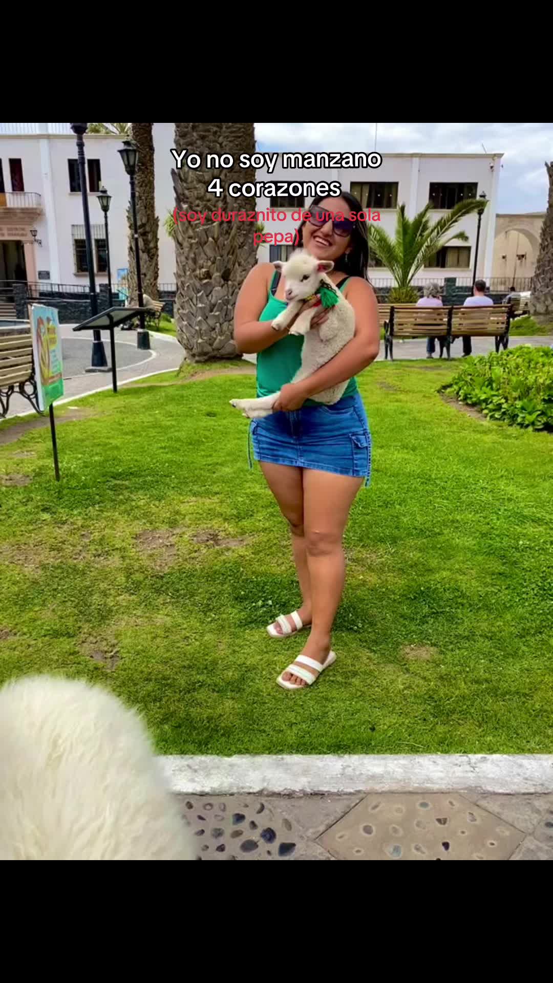 @Jasmin. 