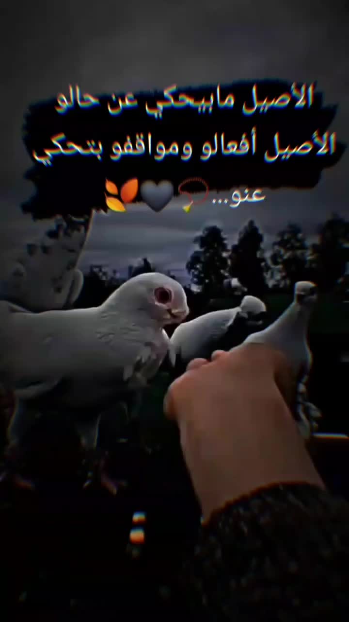 @ﺍﻟﹻﺷﹻۦۙۦۙﹻﻴﹻۦۙۦۙﹻﺦ515⚔️