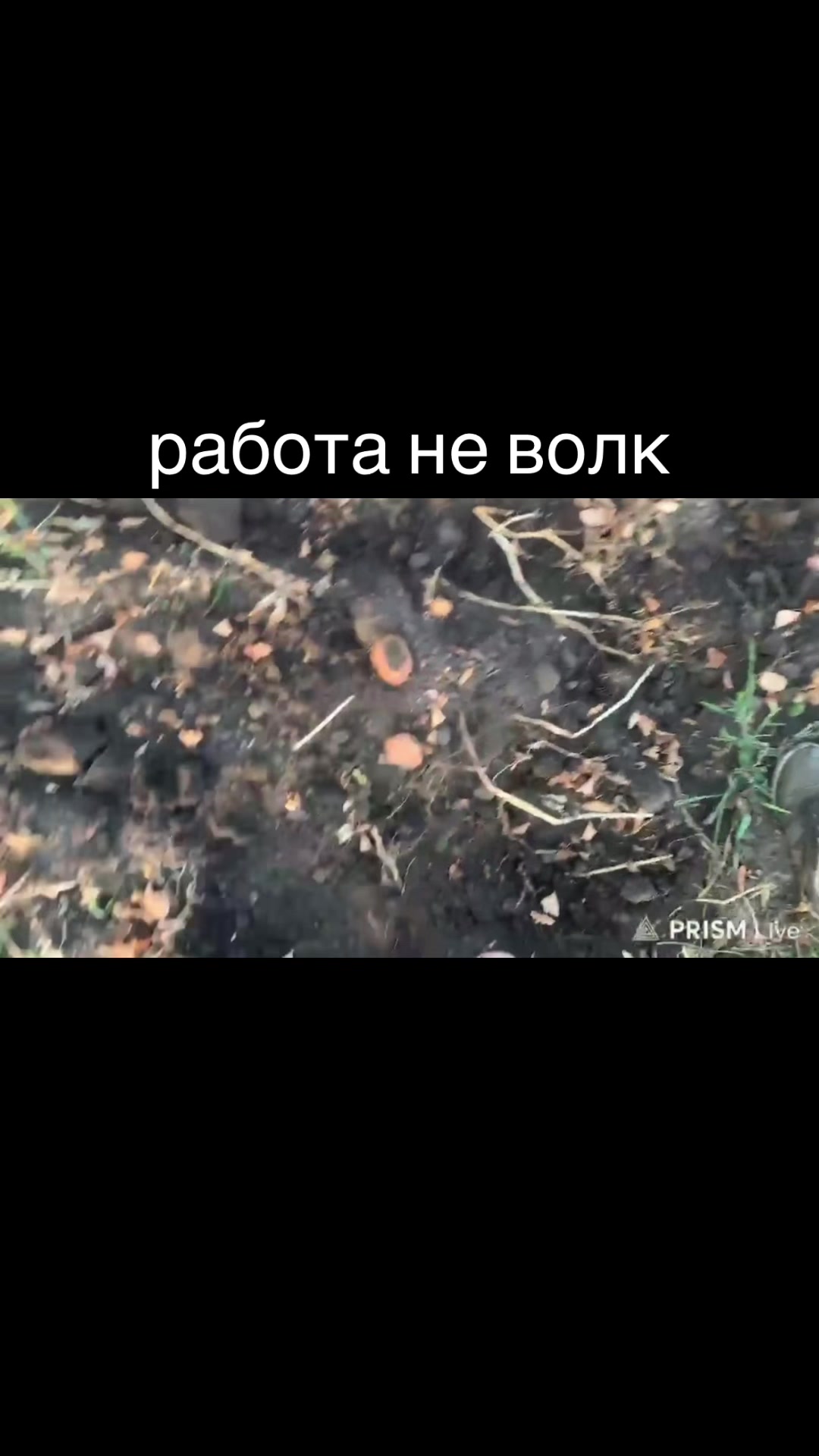 @Спорт болид Литвина