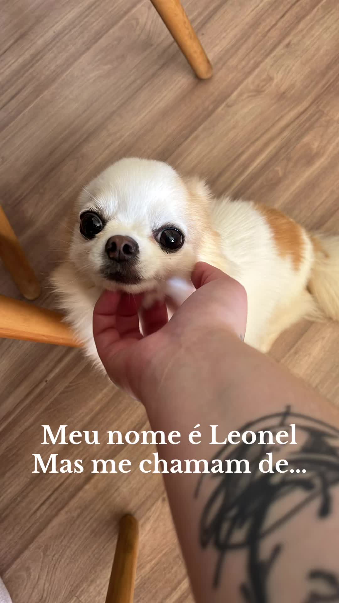 @Isabella Favero