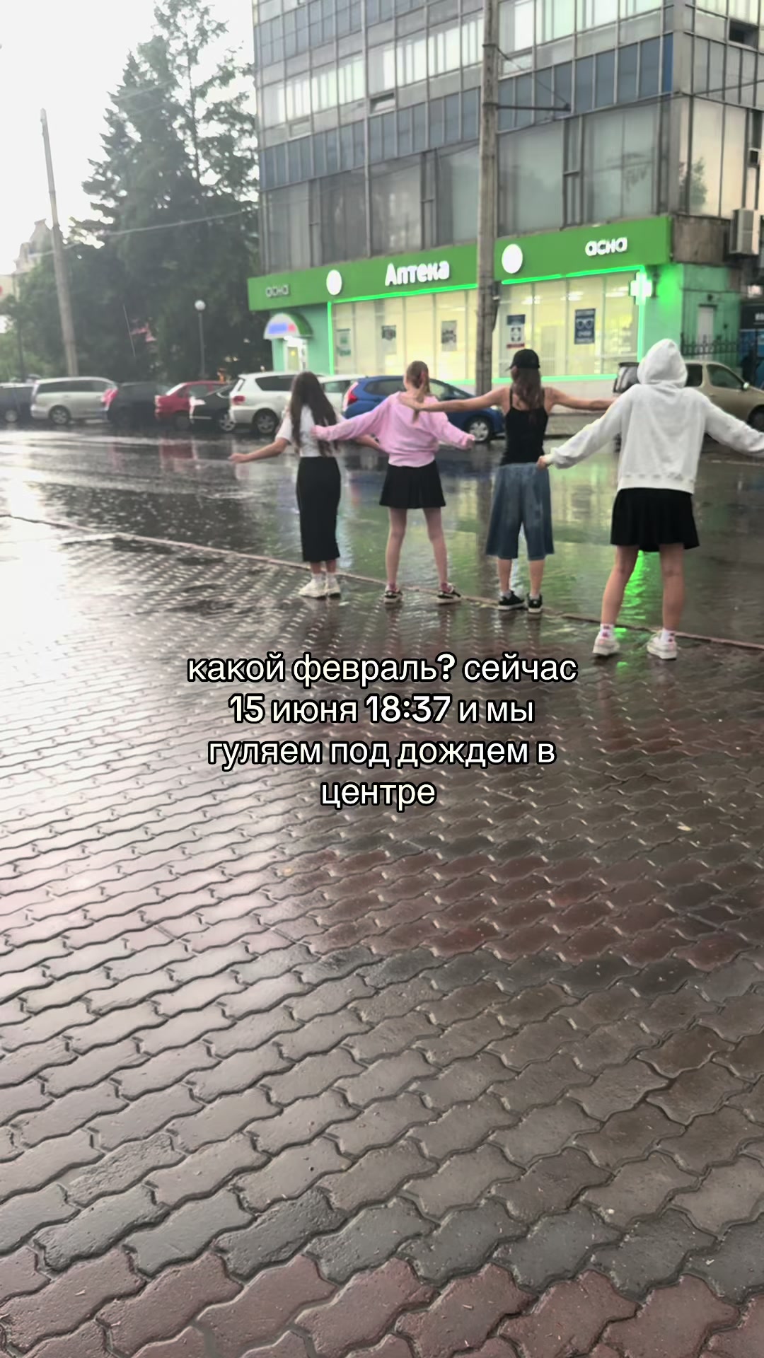 @светки на ветку