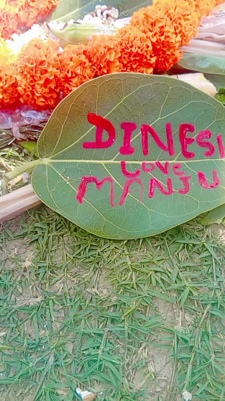 @manju yadav