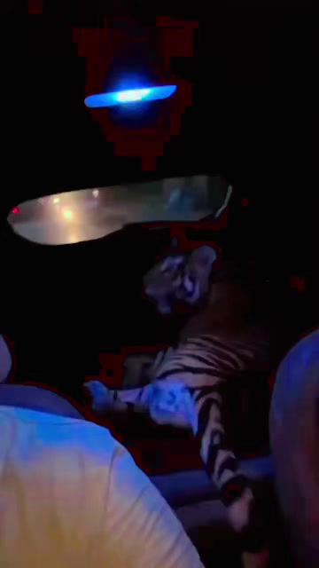 @مؤيد التركي 🐅🐆