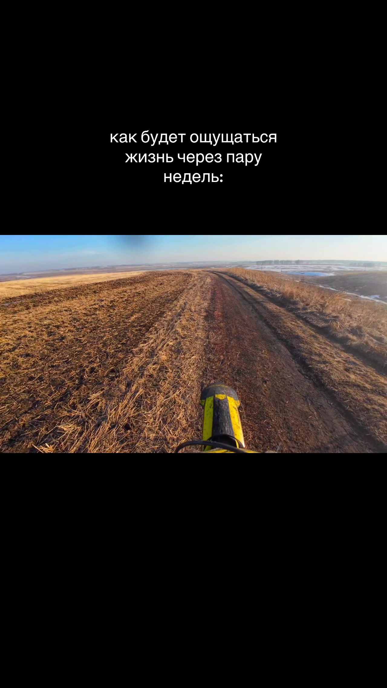 @pltzwq17