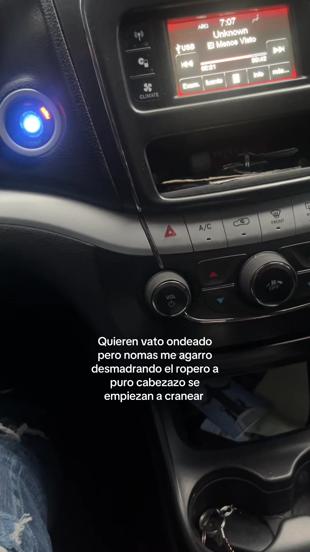@Pollito_conpapasjaja