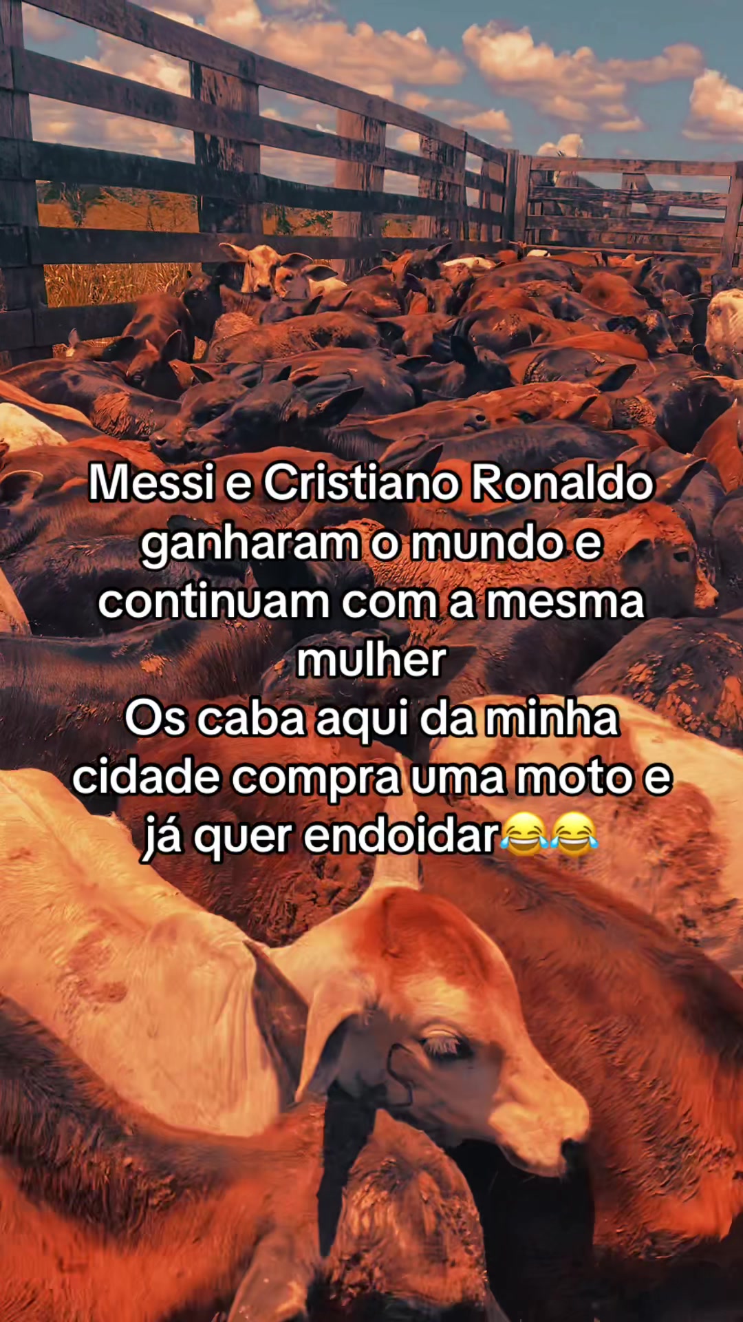 @📿K&Aacute;SSIO.agro𓃗🤠