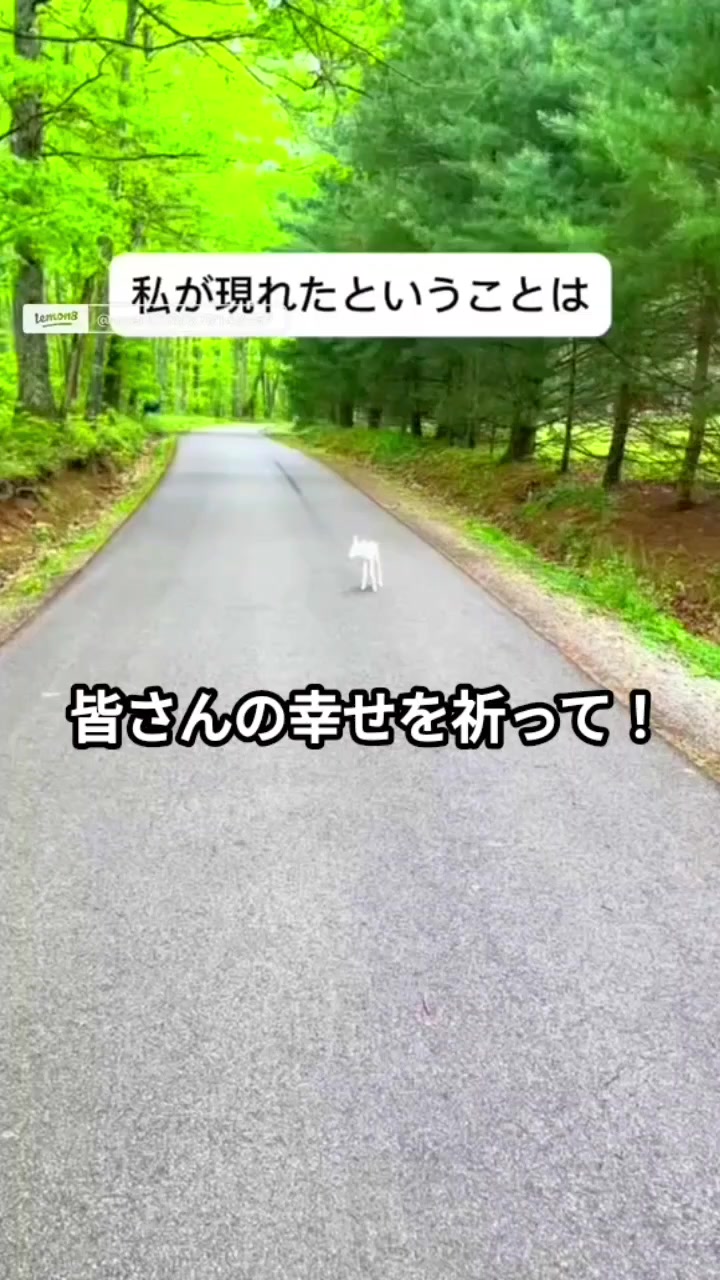 @yazawamitsuyoshi