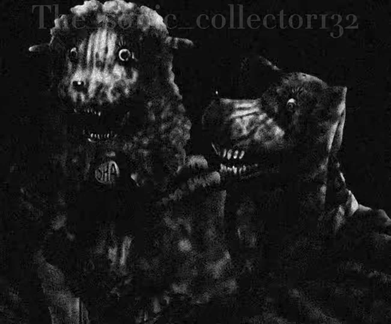 @the_sonic_collector132