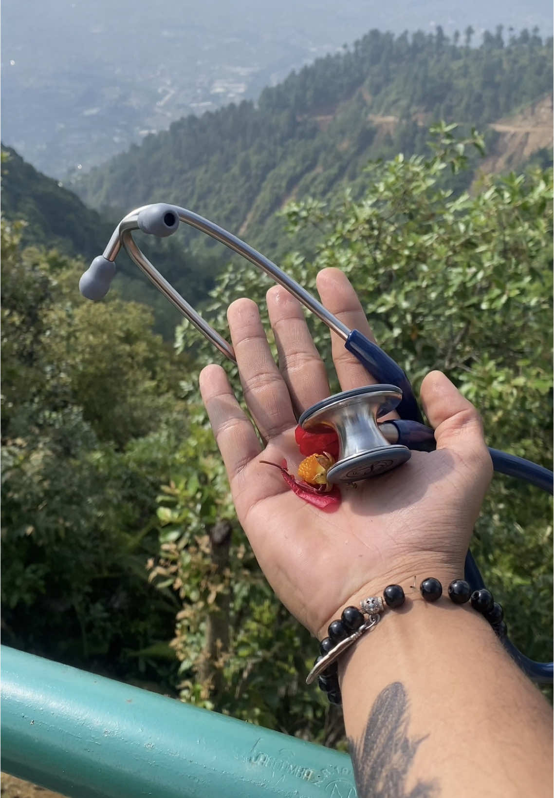 @Dr.Milan Chhetri