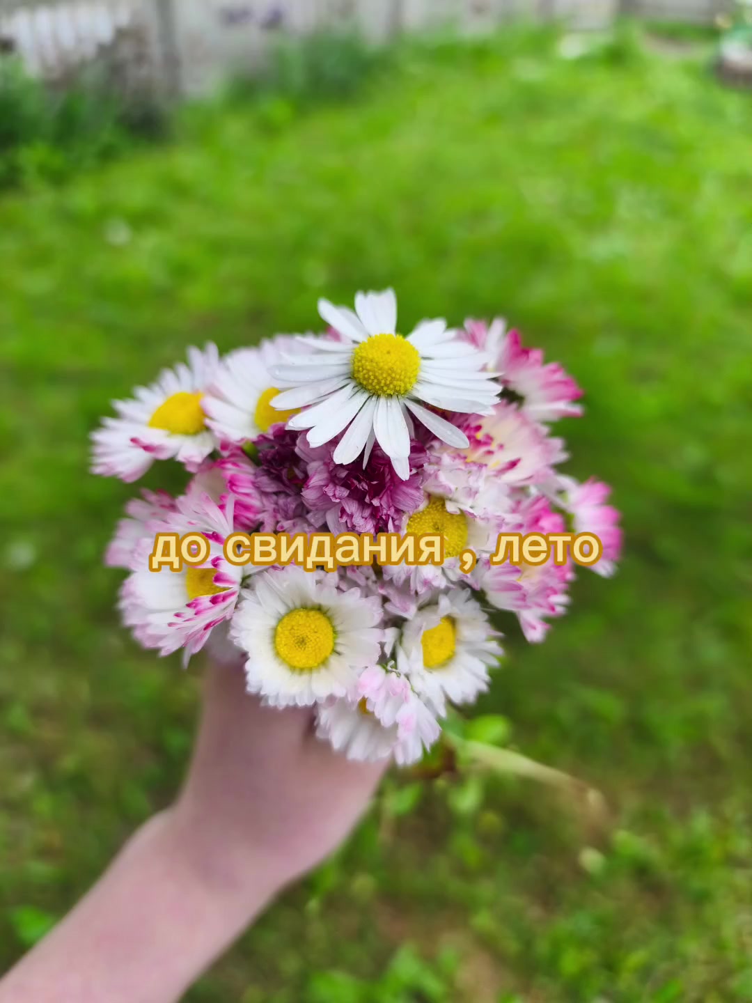 @Заоблачный перчик/перчинский