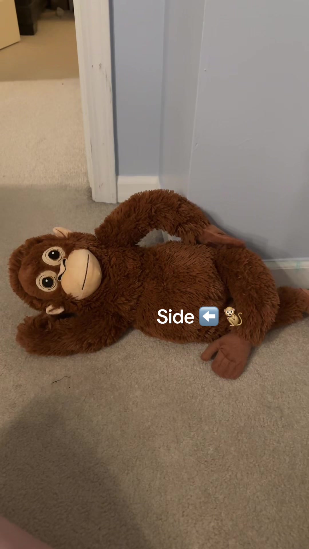 @Ziggy 🐵