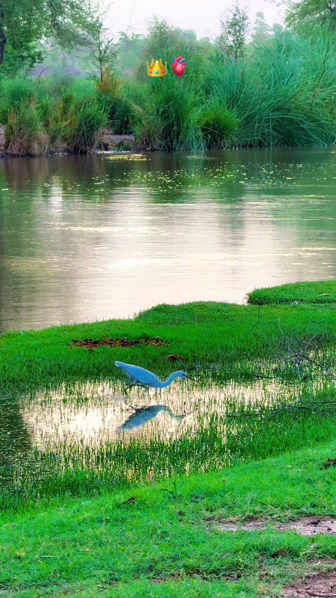 @پنجابی کلچر 🌾🍂