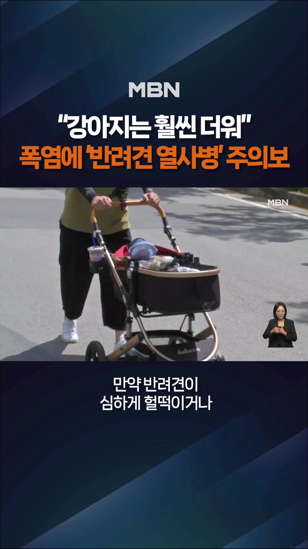 @MBN NEWS