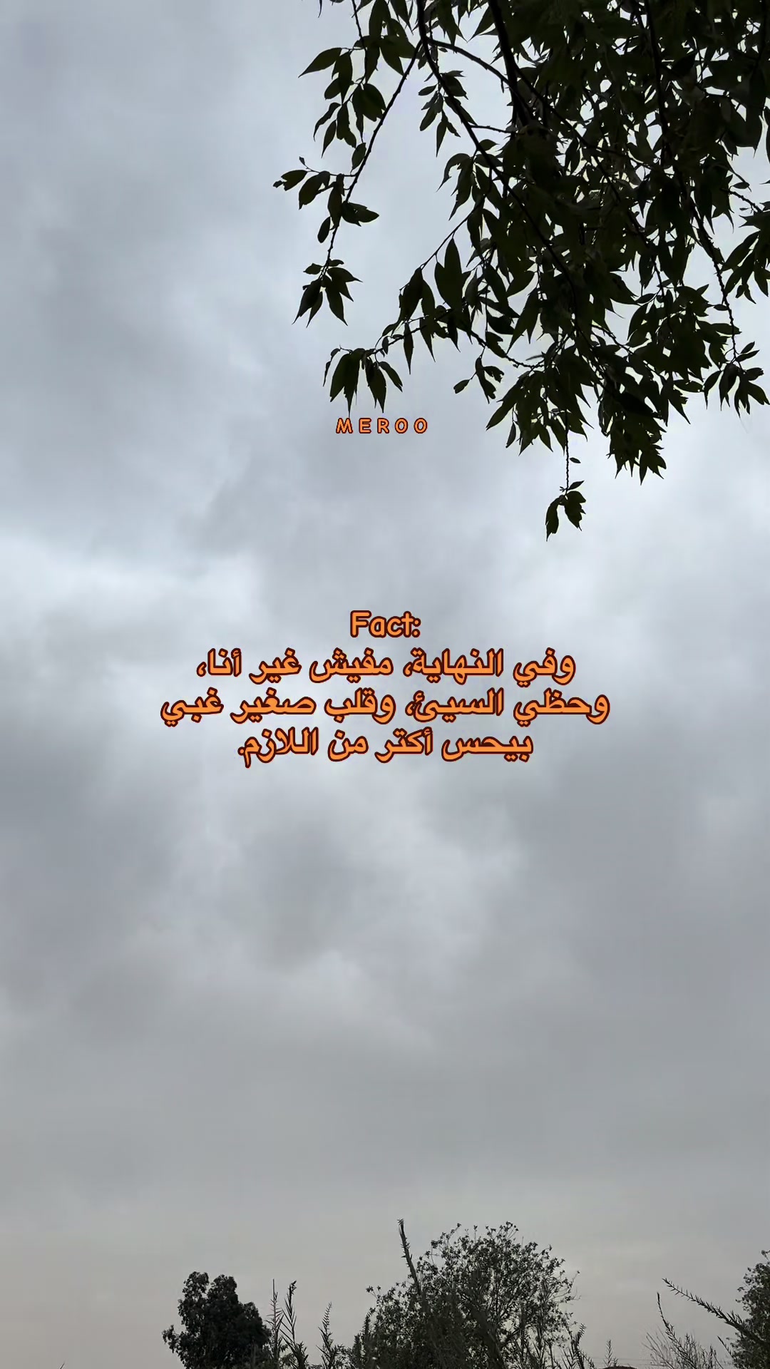 @༒آمِــيـــّر _𓆩ᗩᗰIᖇ𓆪🤎