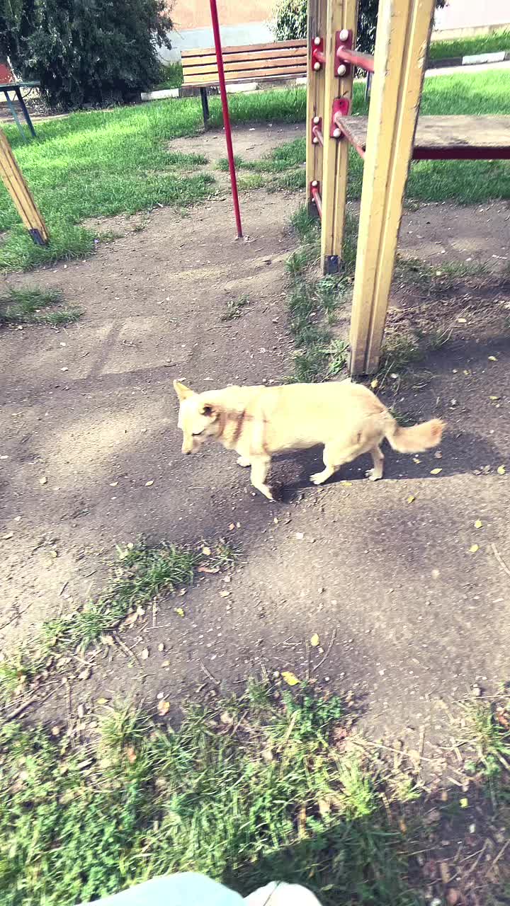 @🥥Милли🥥