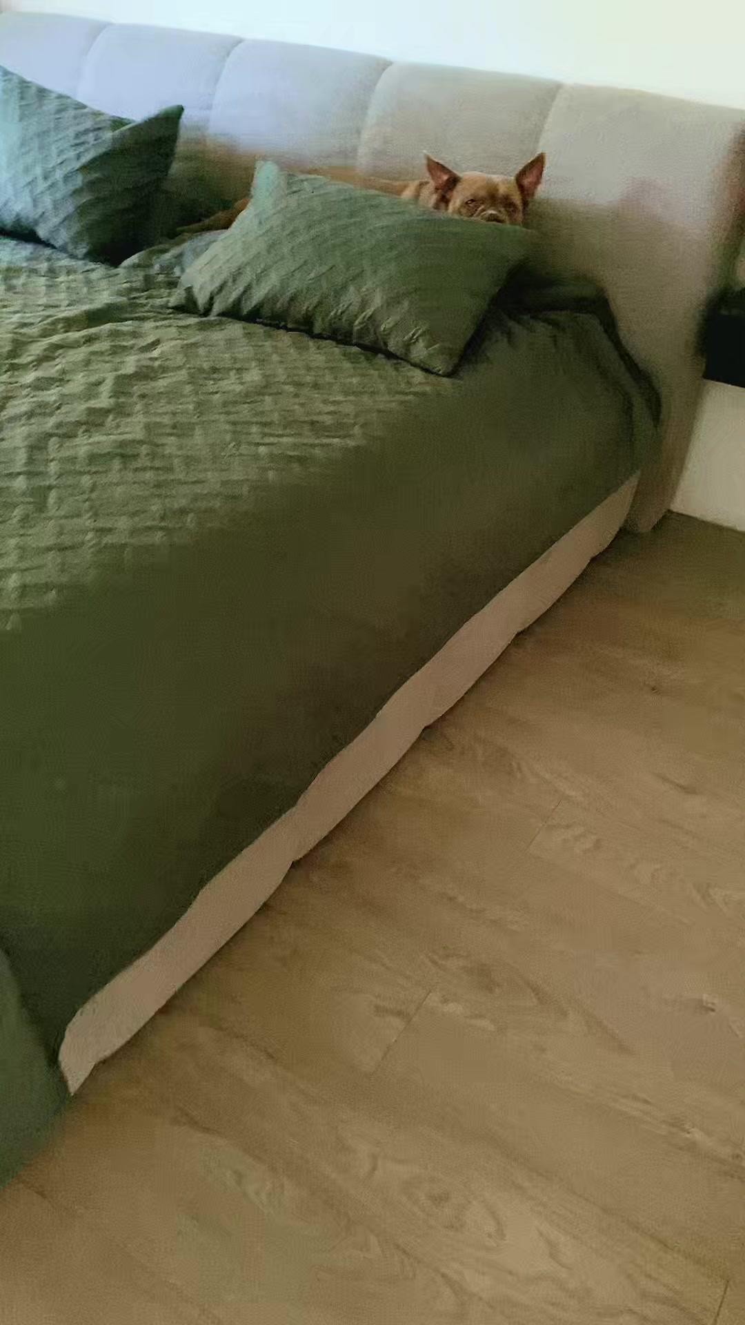 @Gre4anka