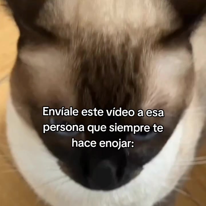 @goodvibessxd