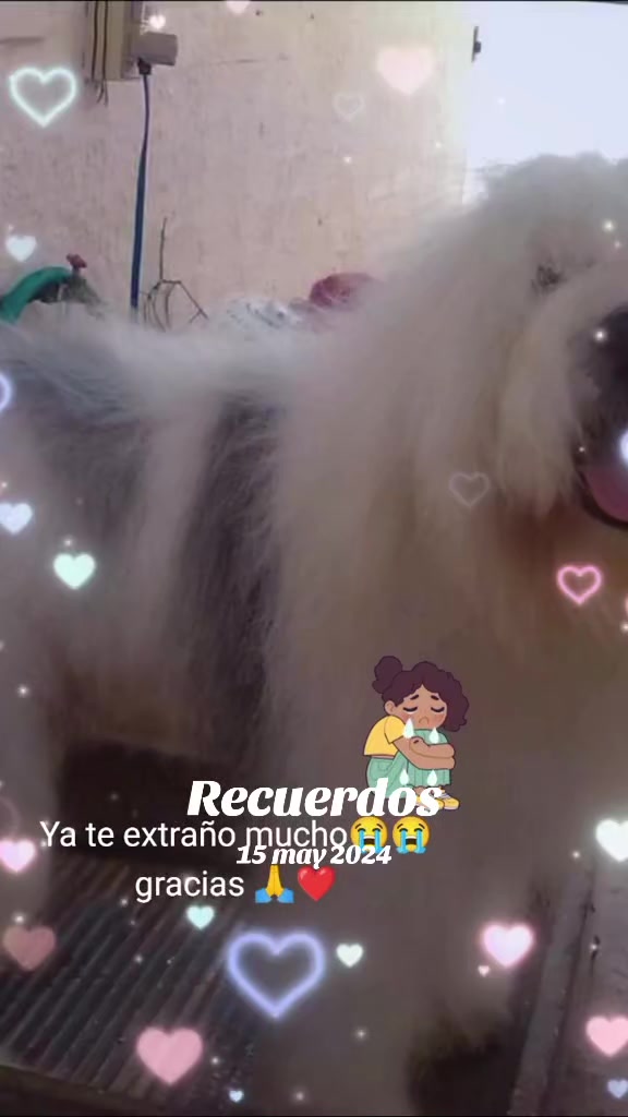 @м𝔸ℓε𝕟𝐚 👑т²-ƒαмιℓу🫅💋❤️🔥