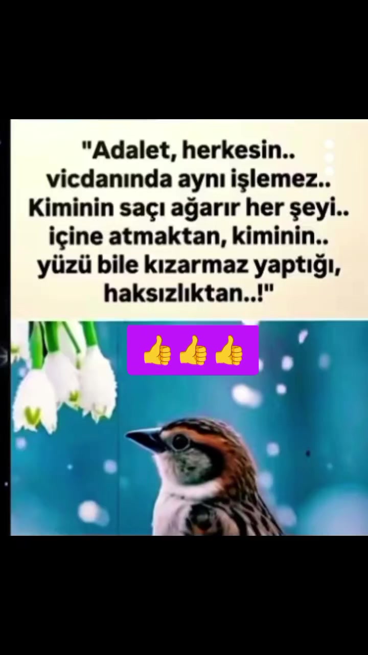 @58_Sevil