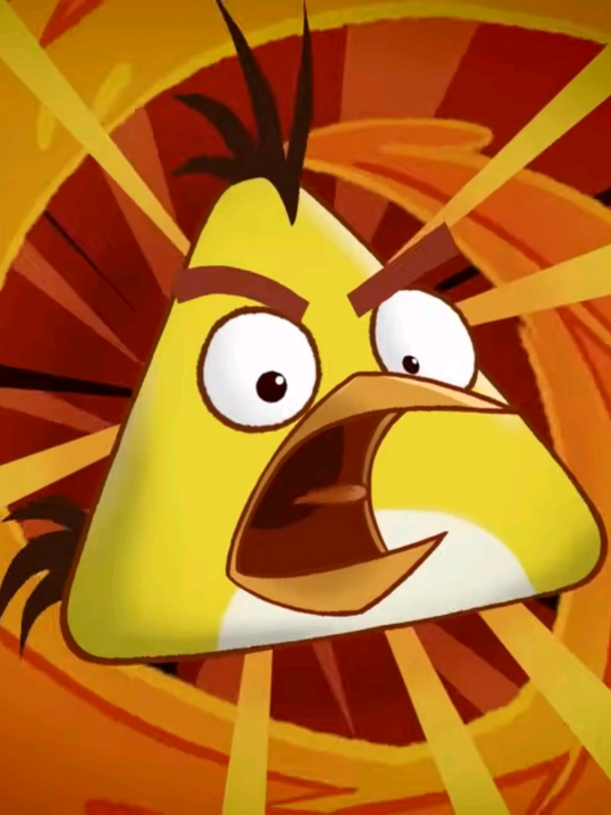@squizy