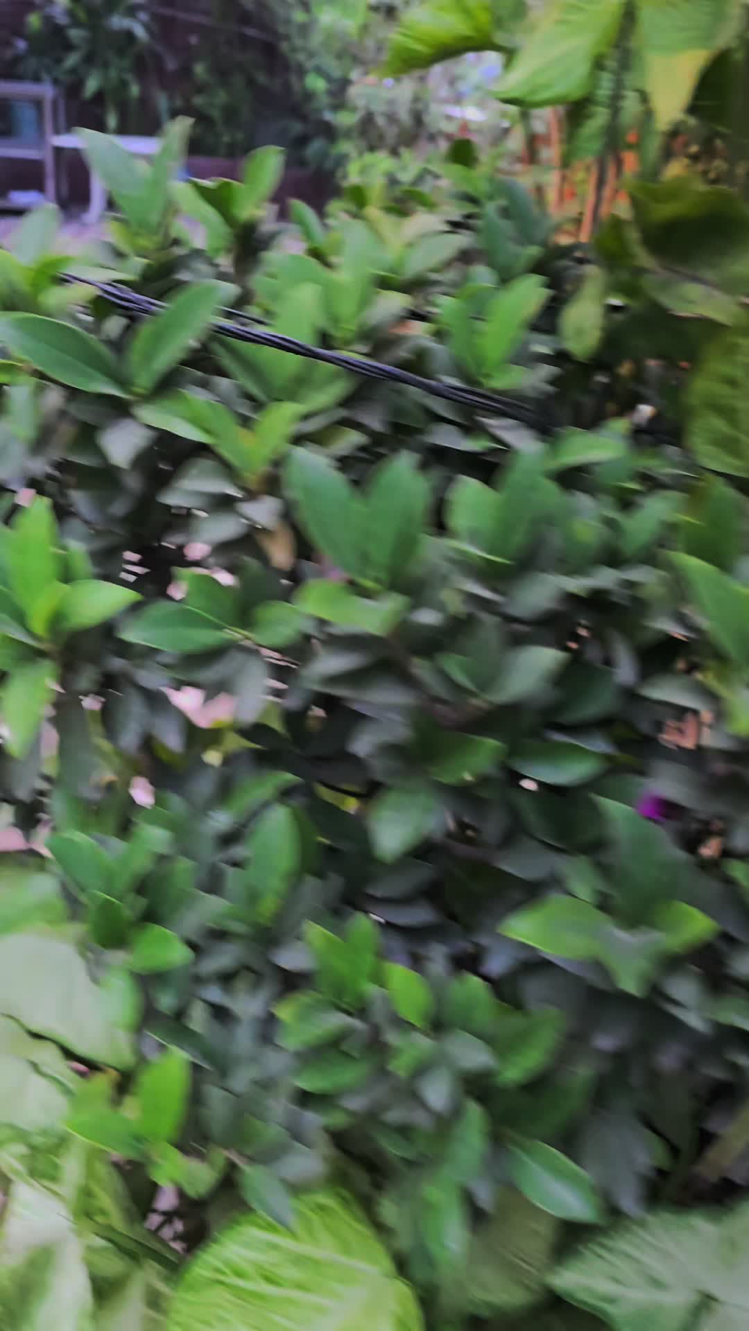 @AJkhan
