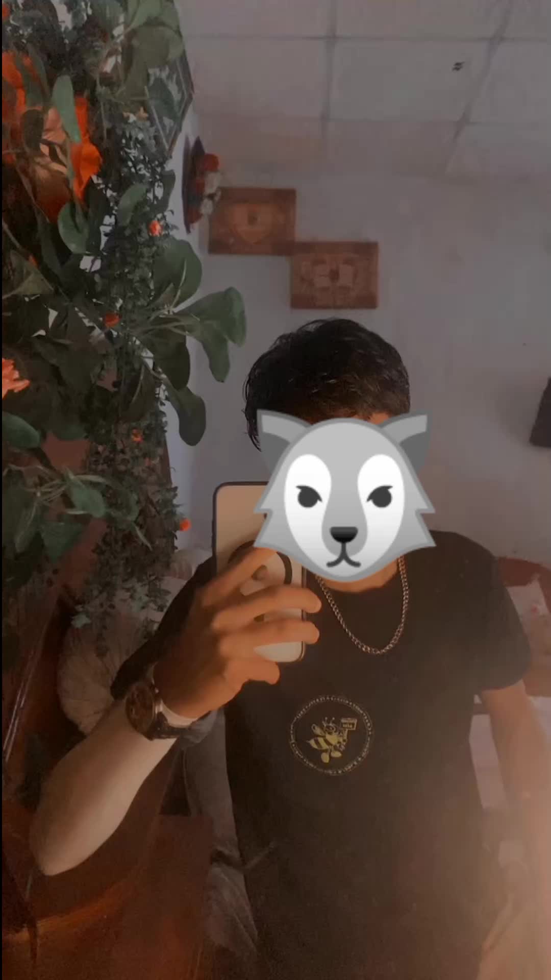 @🐺 TIMMY 🐺