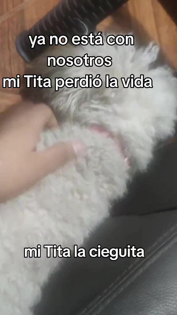 @Luisita