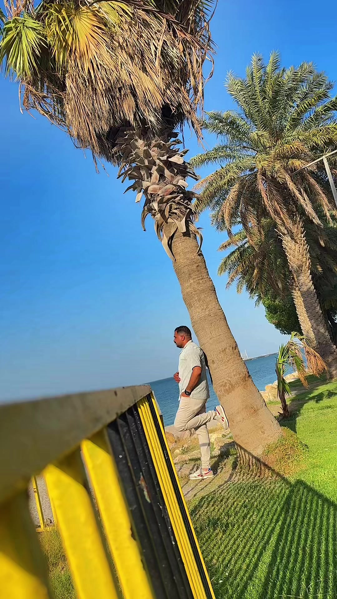@Ghanem Elwan