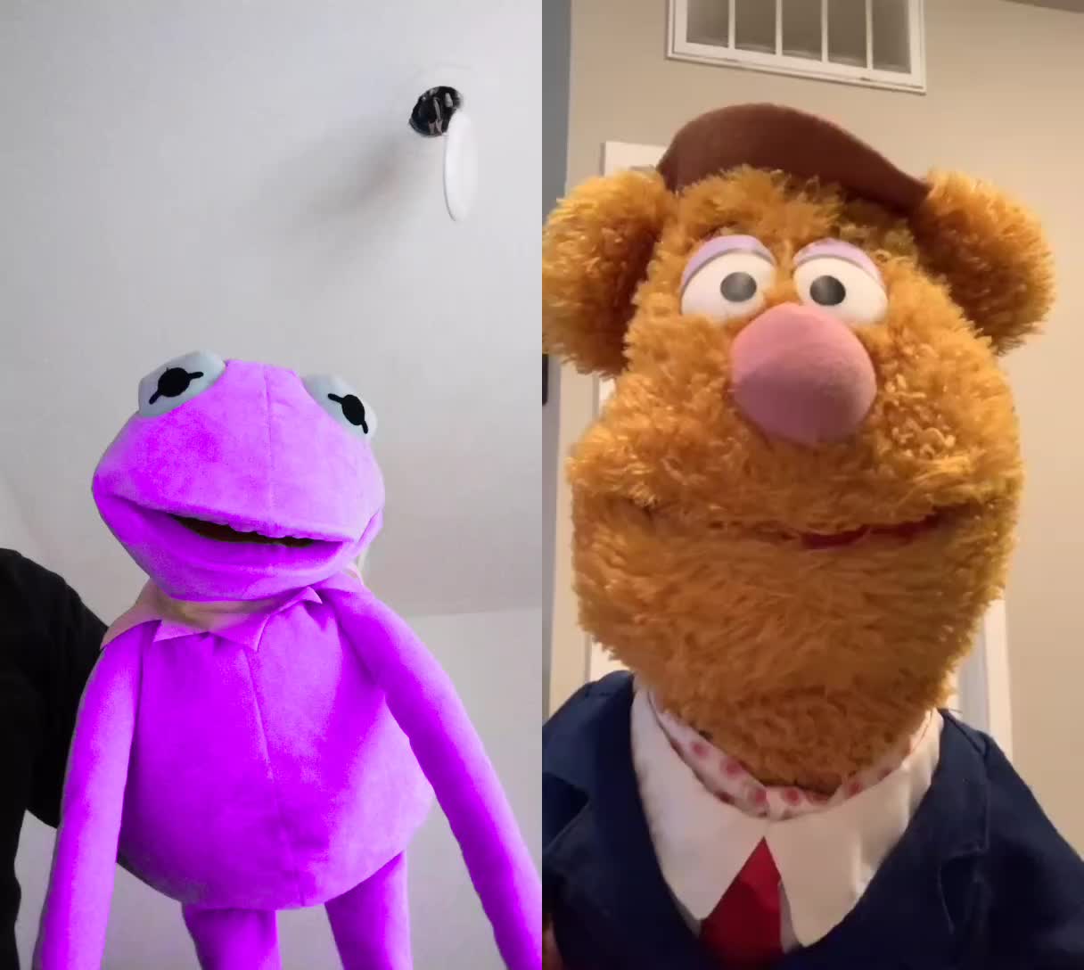 @Kermit The Frog Tiktok