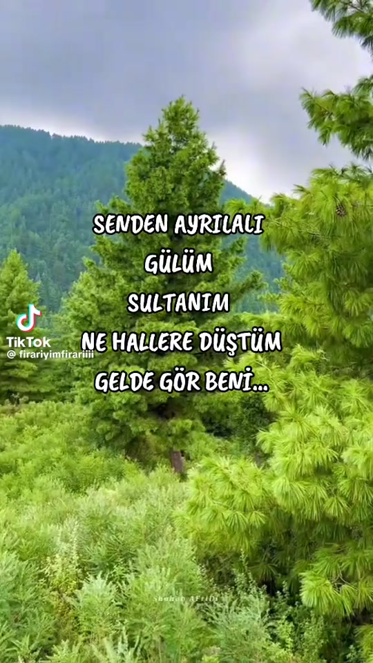 @🇹🇷Şamil_1987🇹🇷