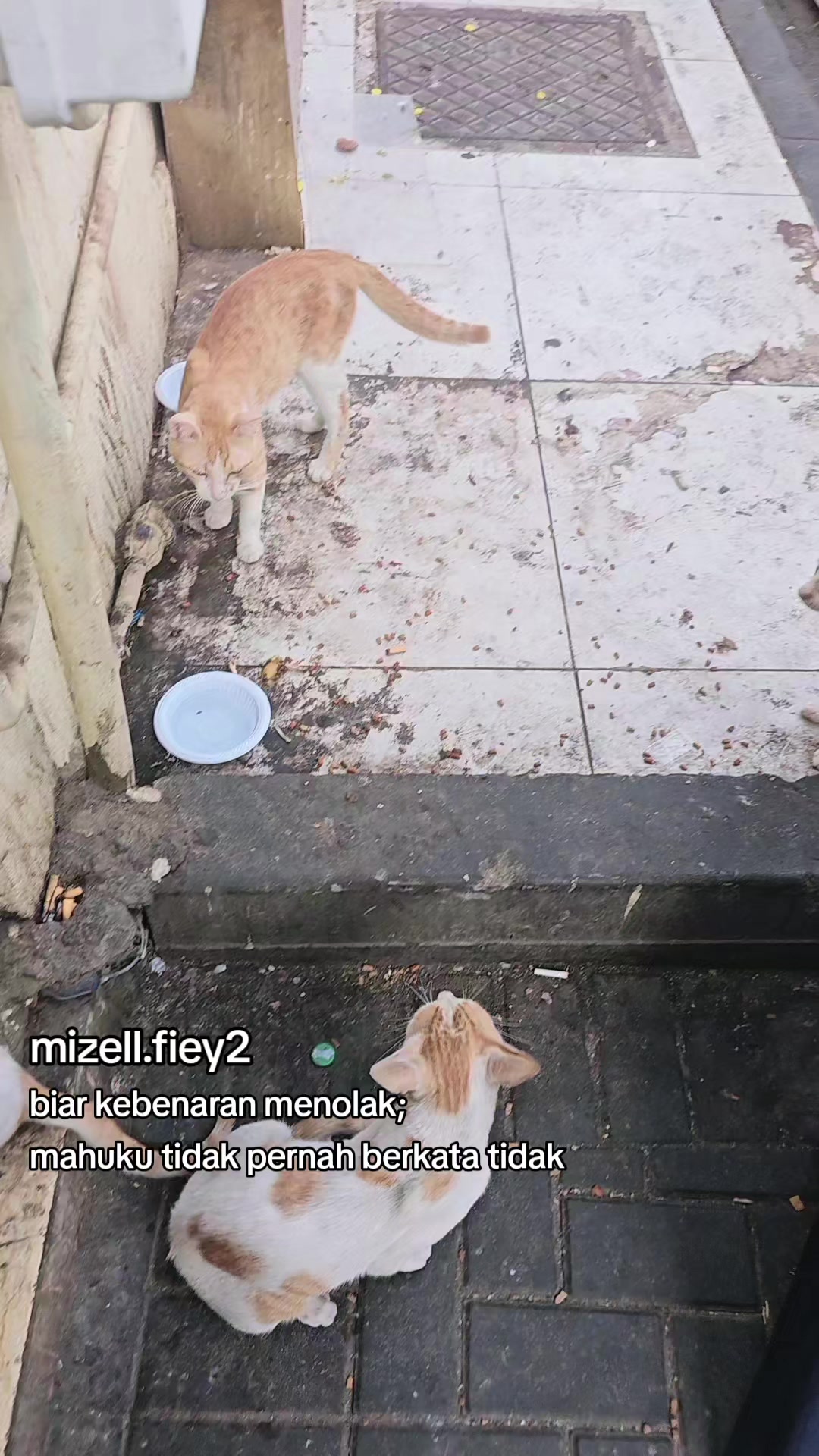 @mizell.fiey2