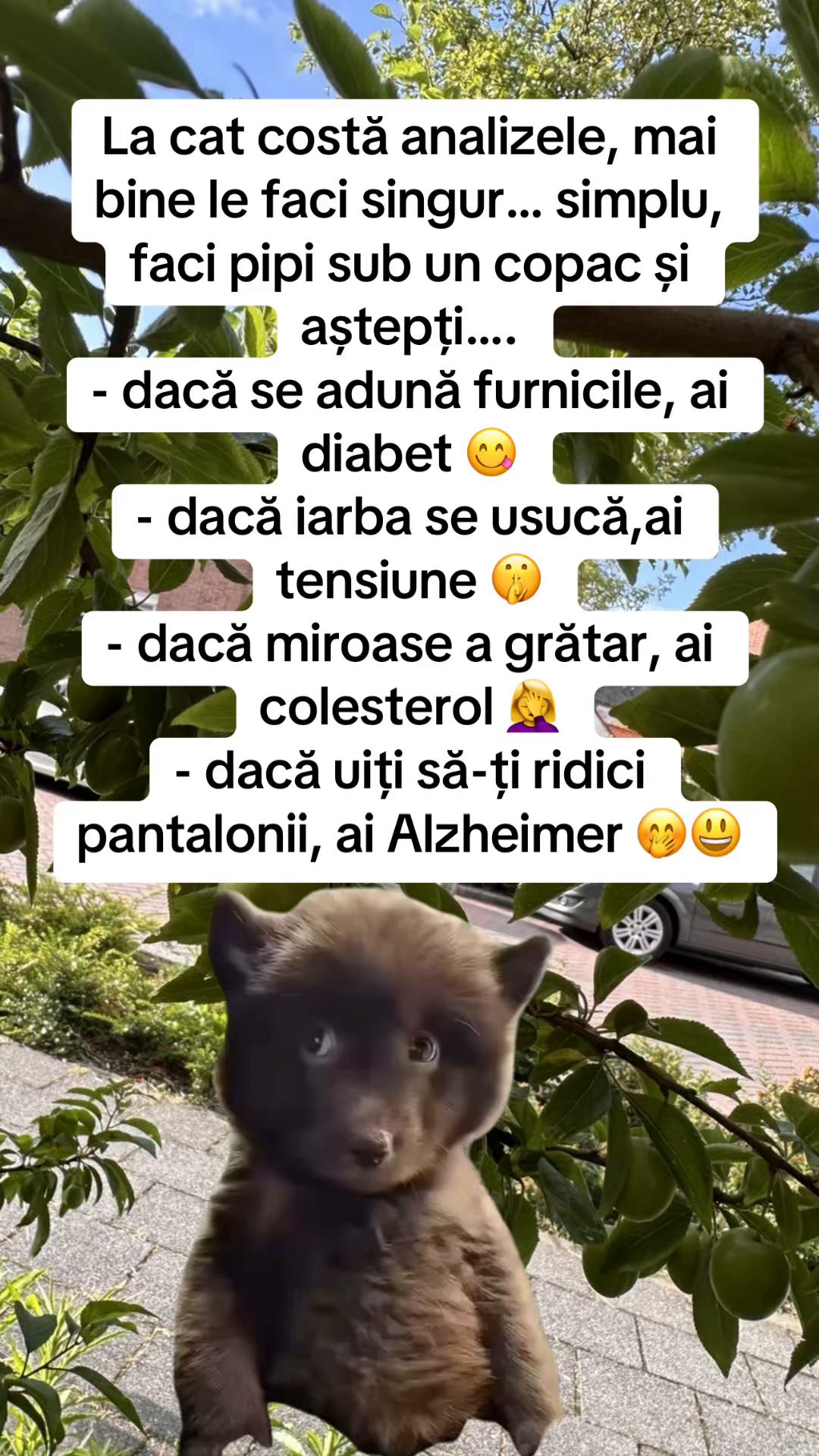 @Mirela