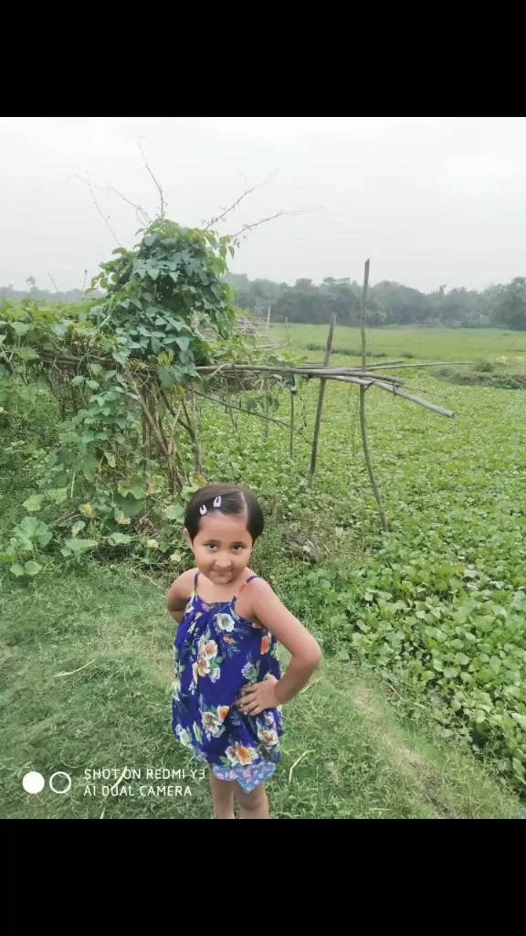 @Tiya Roy