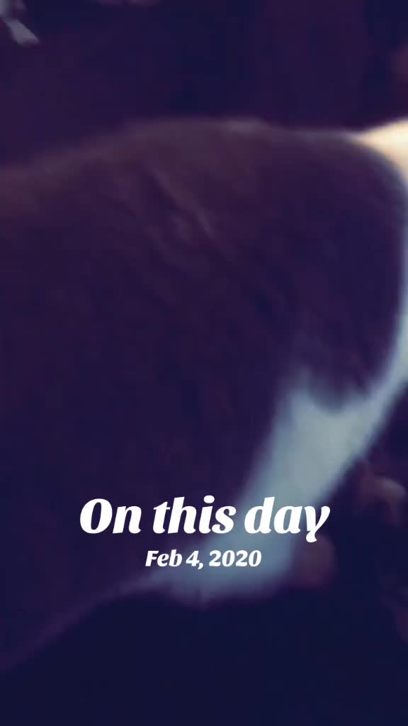 @CupcakeTheDestroyer