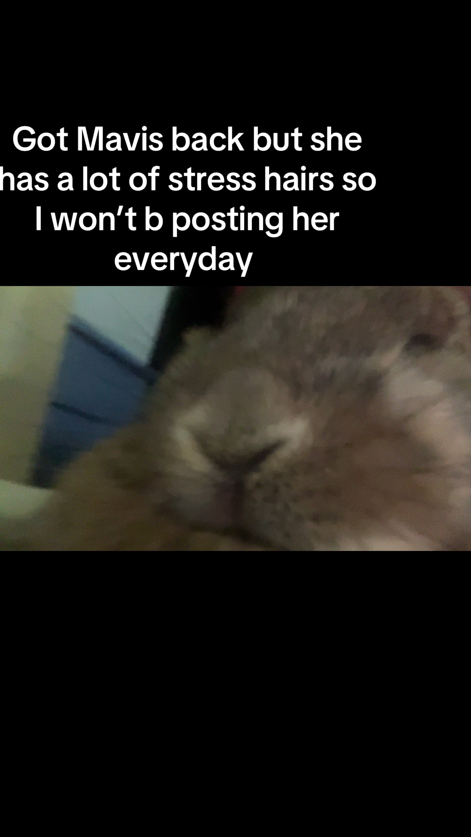 @Fadedbunny69