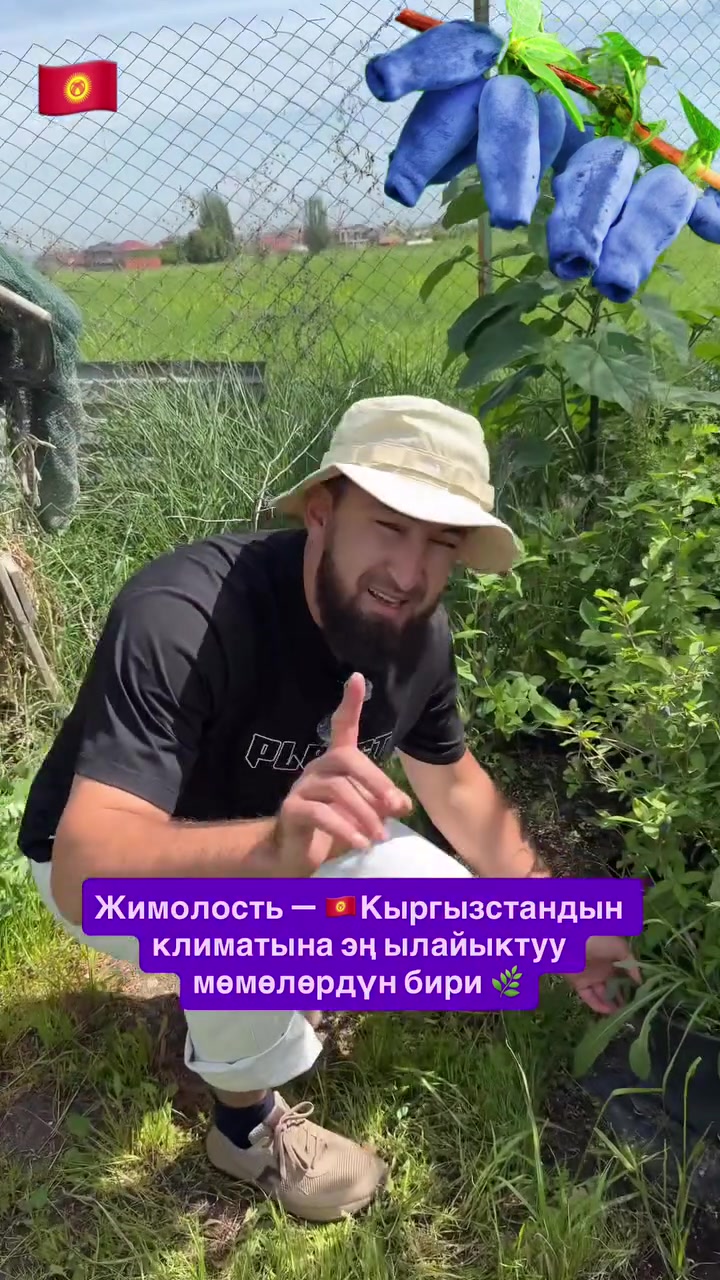 @СУПЕР САДОВНИК ИЗ ЖАЛАЛ-АБАДА