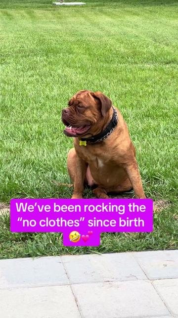 @Cheryl dog mom