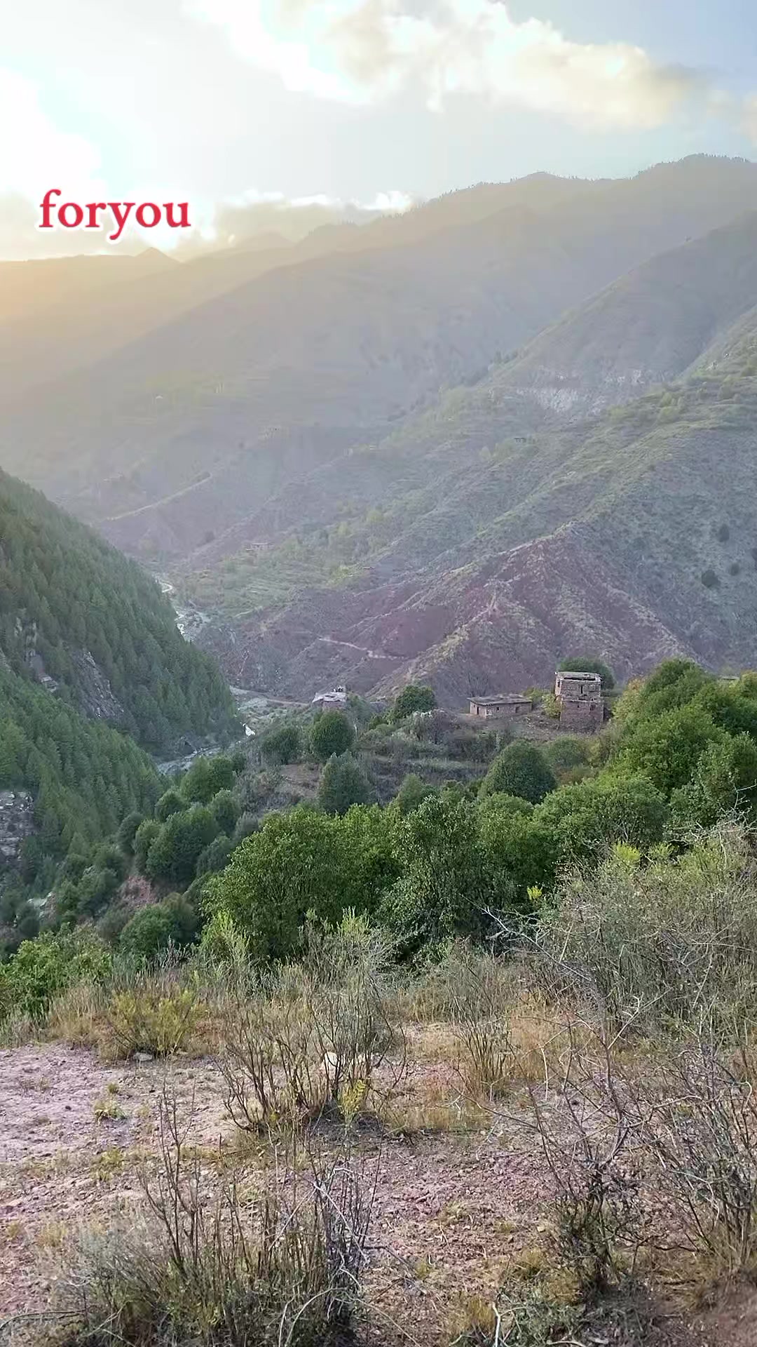 @𝐌𝐀𝐍𝐒𝐎𝐎𝐑🌲🦅𝐀𝐫𝐦𝐚𝐧𝐢