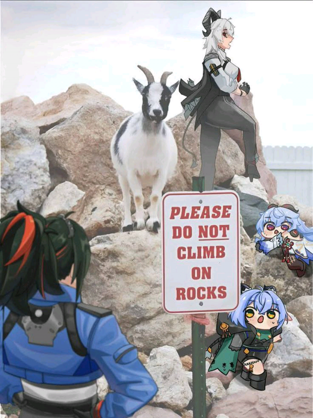 @โฐโโค๐๐๐๐๐