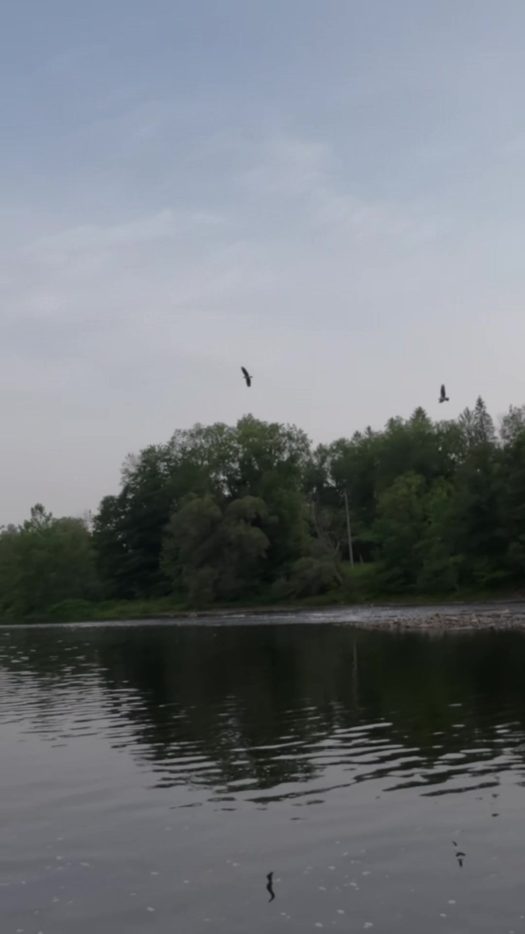 @Creek Seeker Outdoors