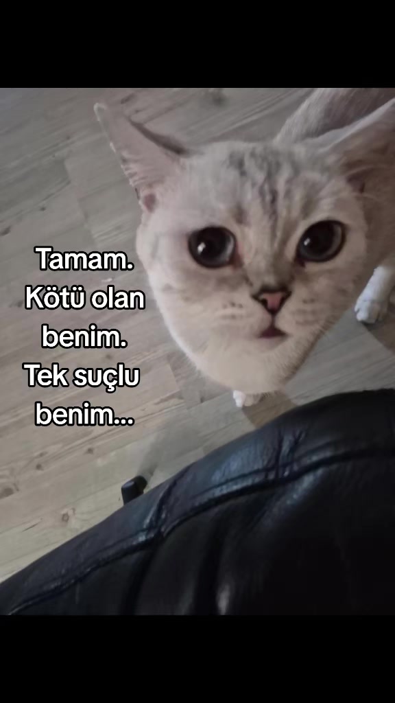 @hayatagülümse2