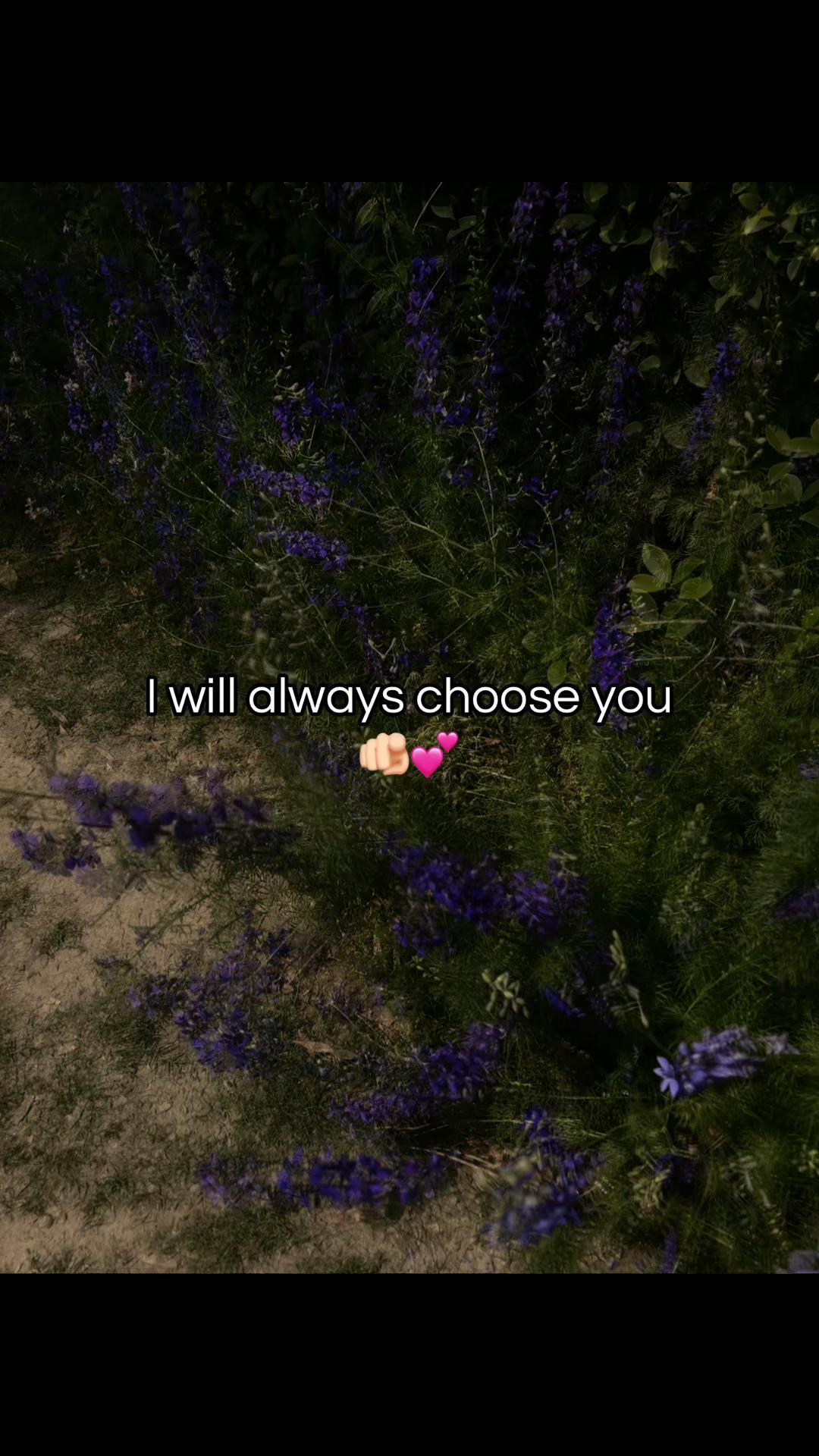 @𝒩