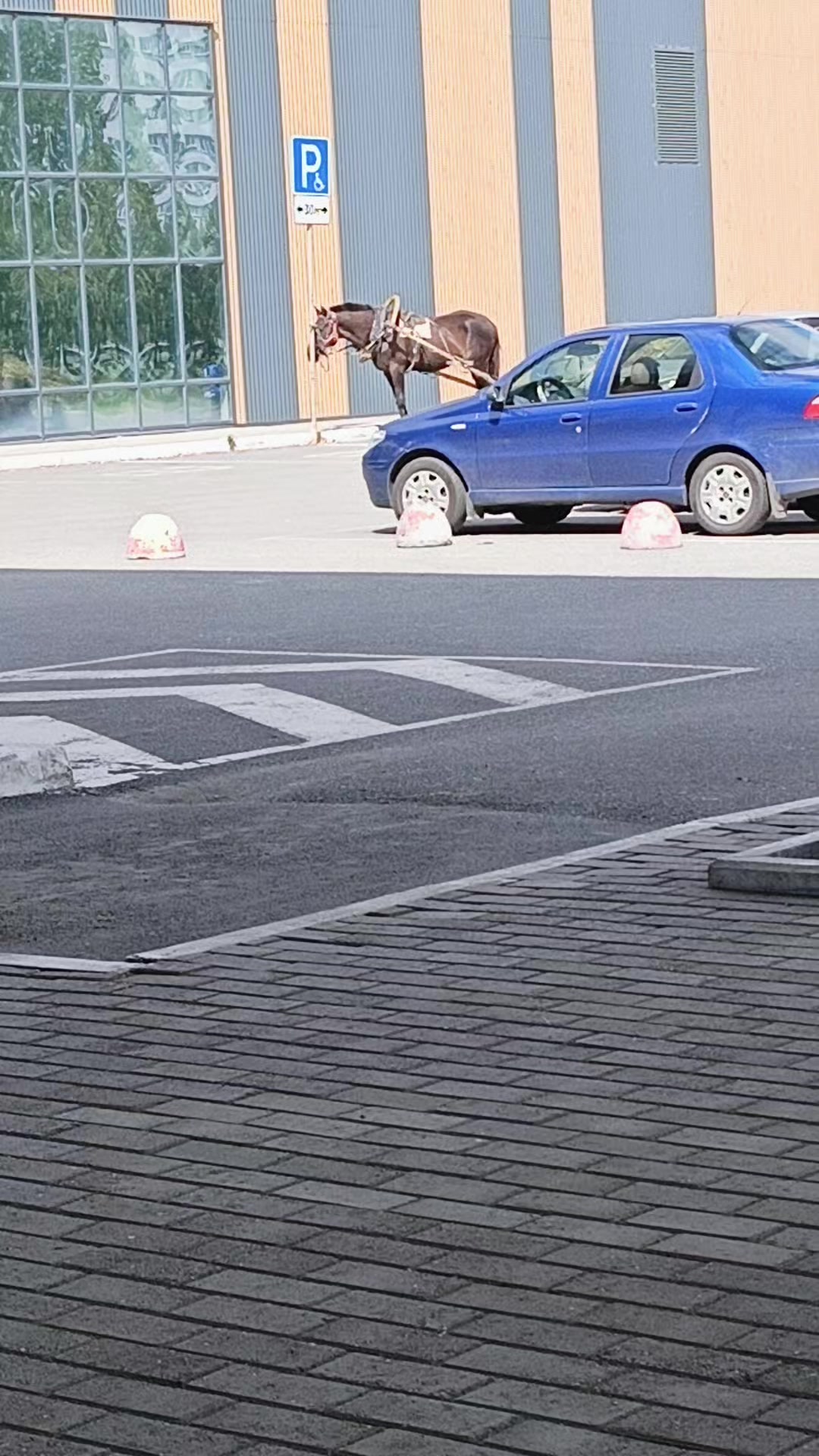 @позывной Иван