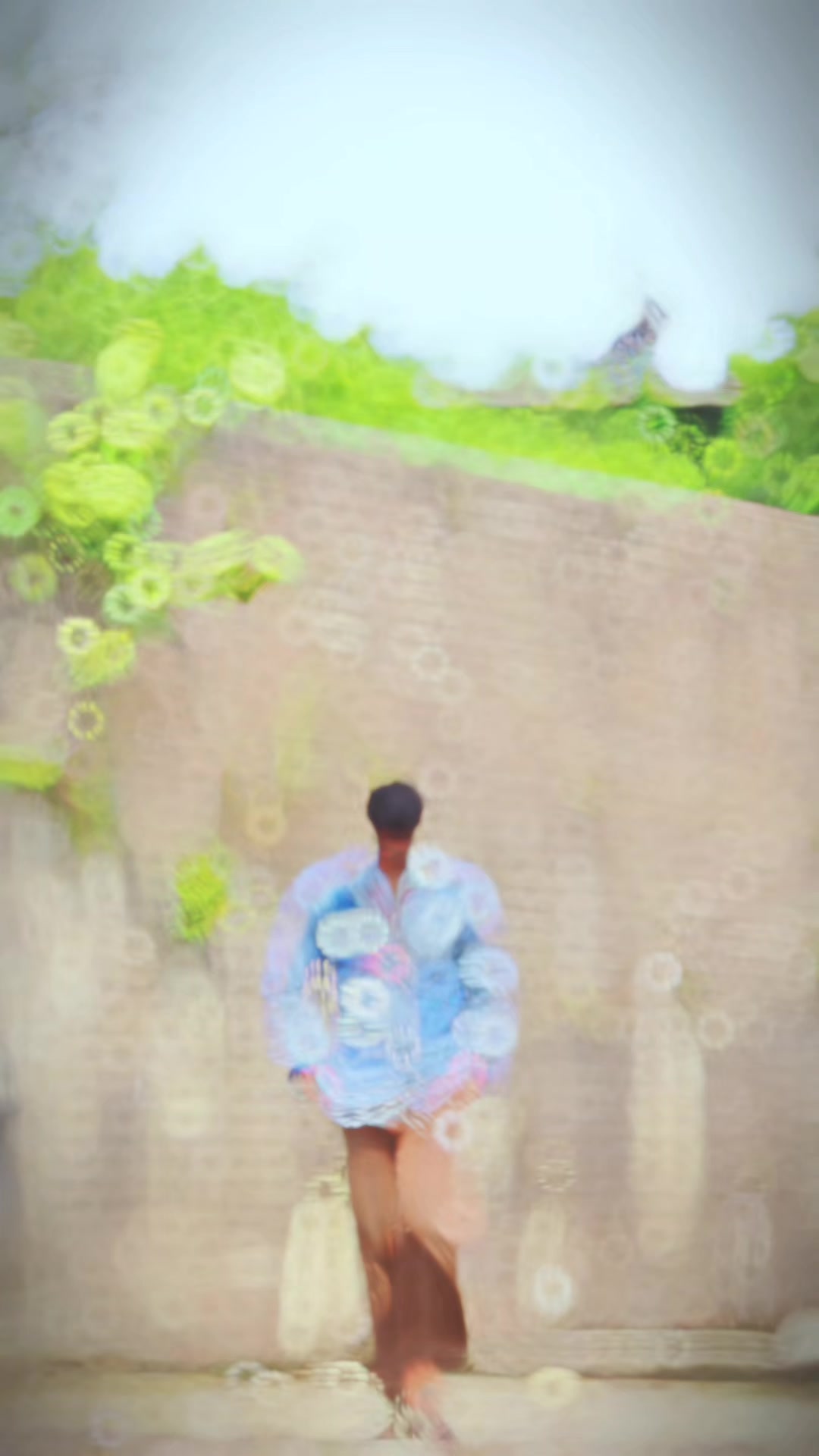 @โ๐ฝ๐ผ๐พ๐๐โ(M)โ