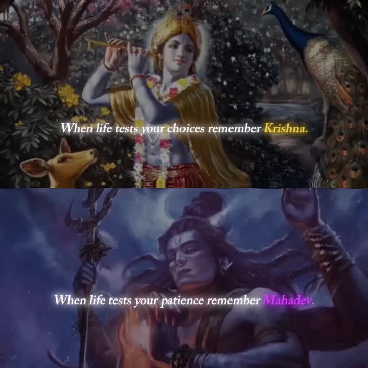 @Uma